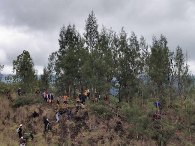 PS Biologi dan CIFOR lakukan Penanaman Bibit Malapari Pomangia pinnata di Kawasan Hutan Kemitraan Di Desa Songan B  Kintamani  Bangli